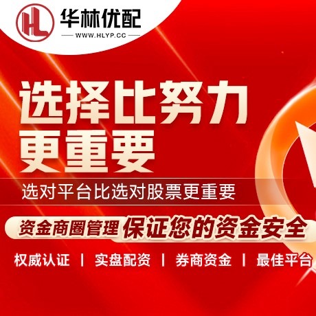 华为版鸿岳资本